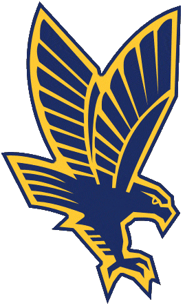 Marquette Golden Eagles 1994-2004 Secondary Logo iron on transfers for clothing